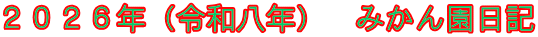 ２０２６年（令和八年）　みかん園日記 